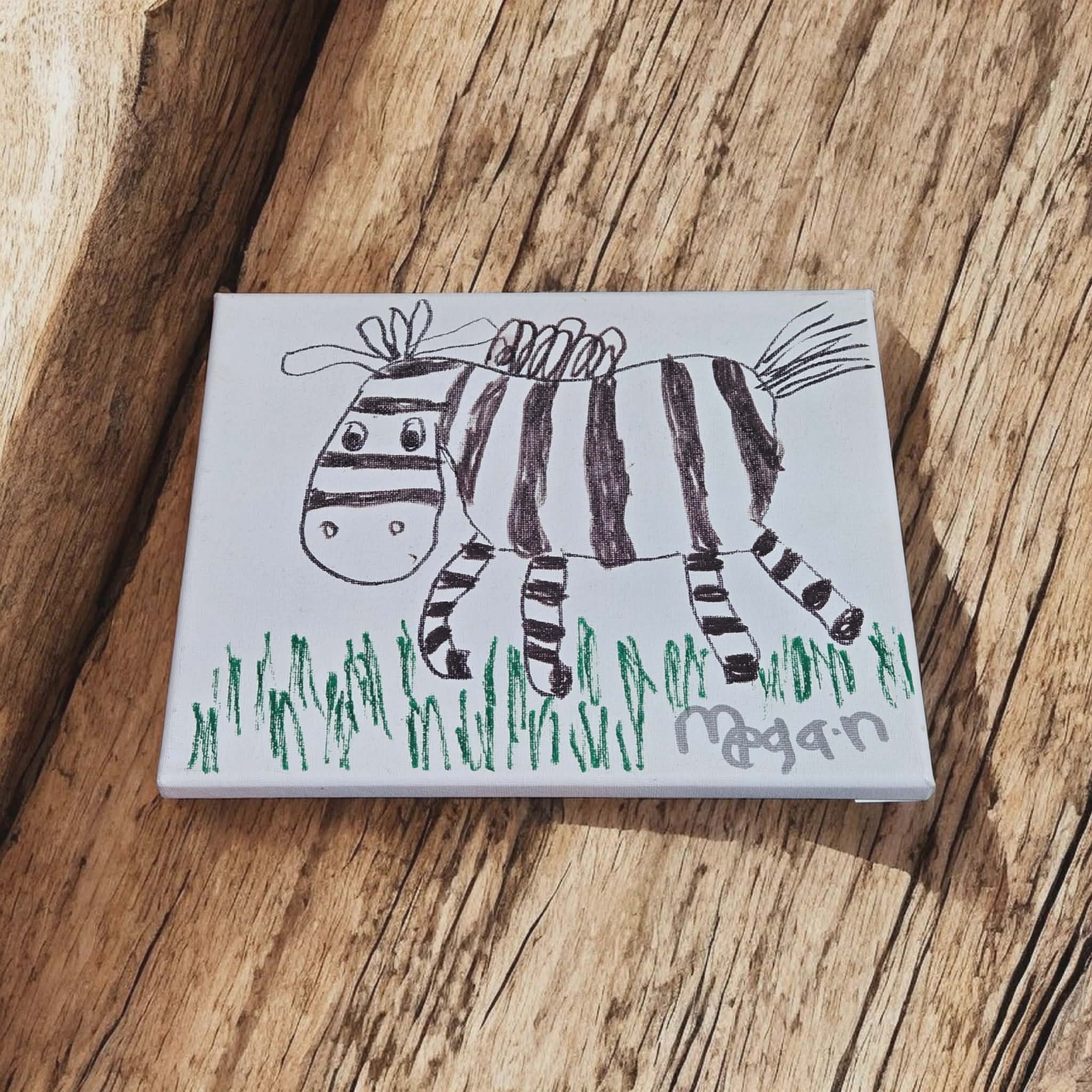 Canvases By Meg