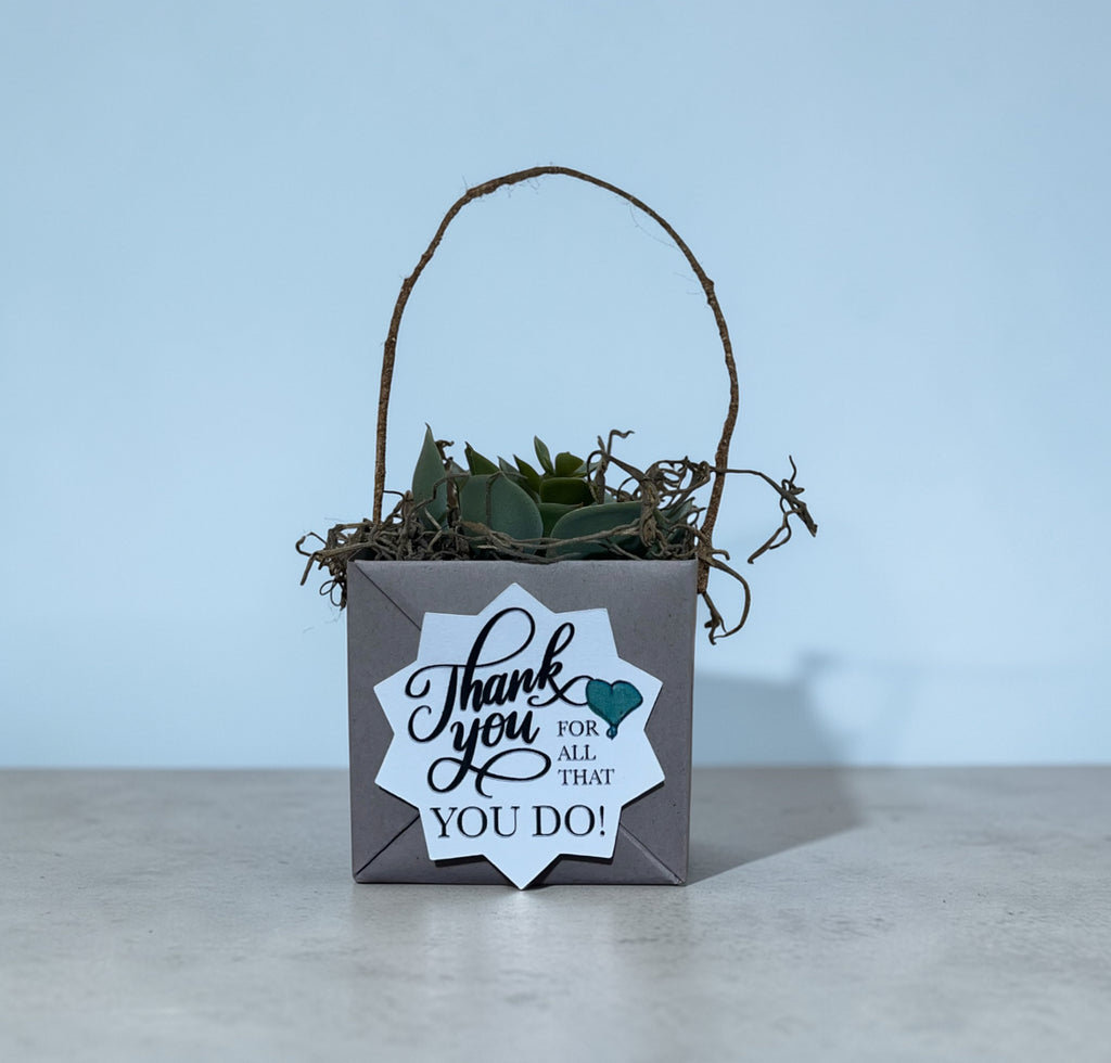 Succulent Boxes