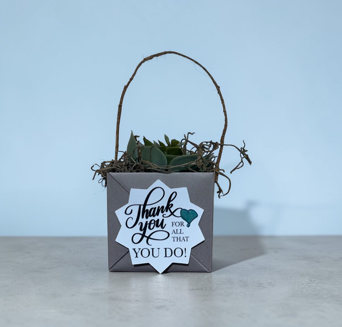 Succulent Boxes