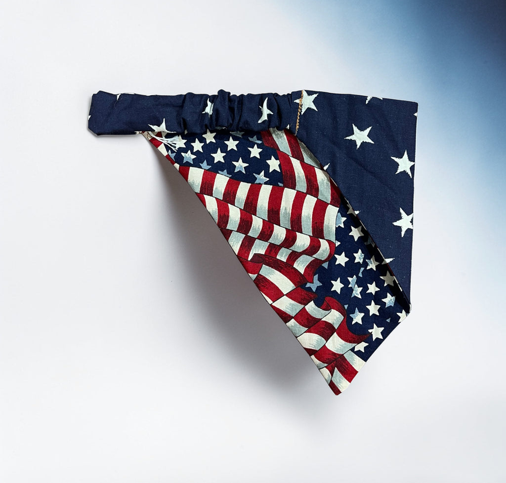 Elastic Reversible Pet Bandana (Varying Sizes)