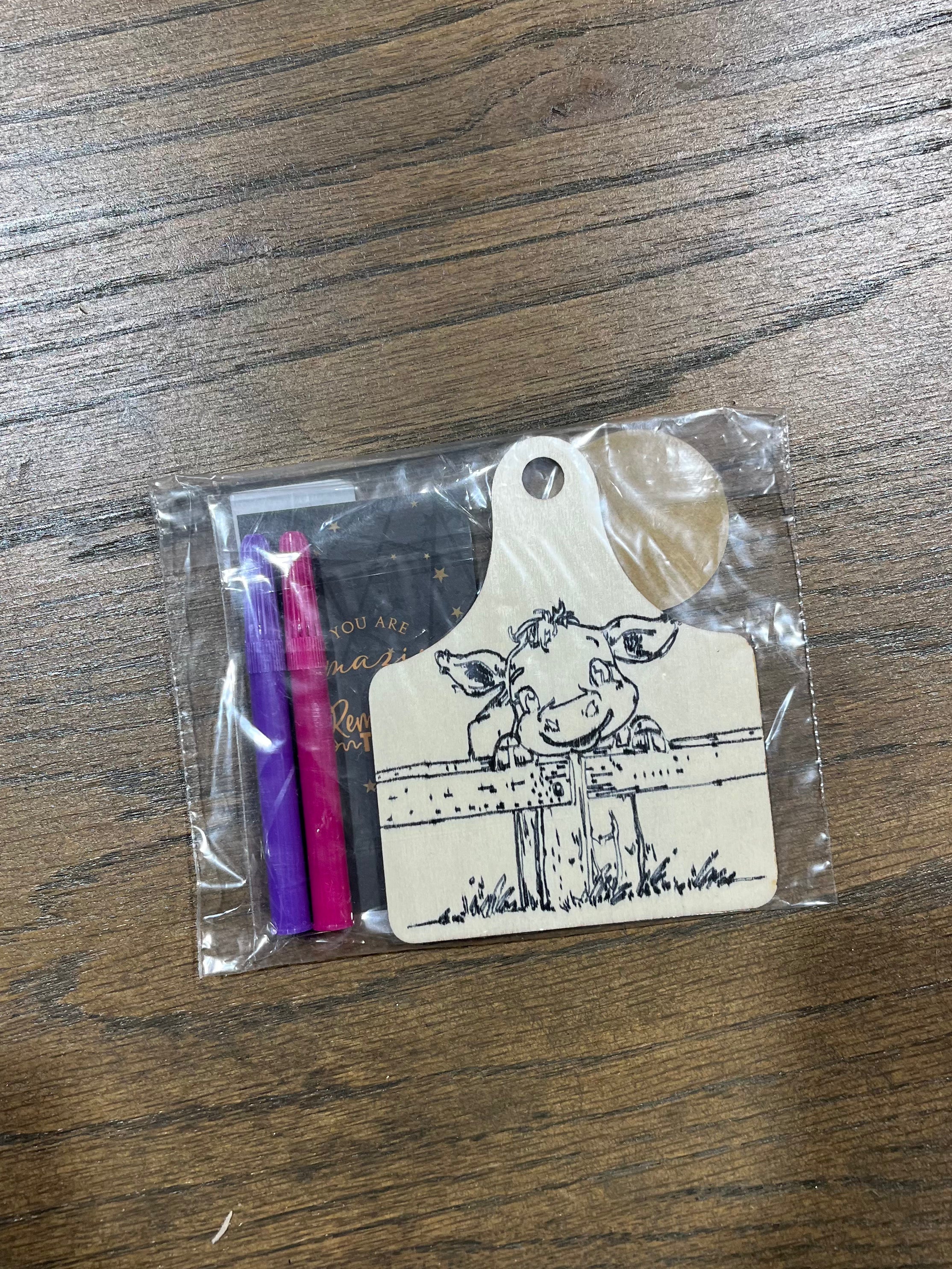 DIY Wooden Ornament Coloring Kit, Unpainted