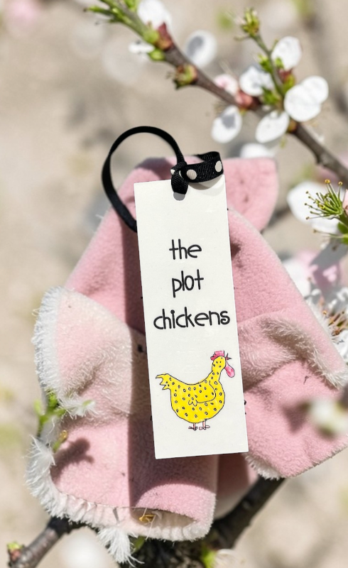 Laminated Bookmarks