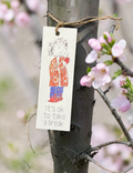 Laminated Bookmarks
